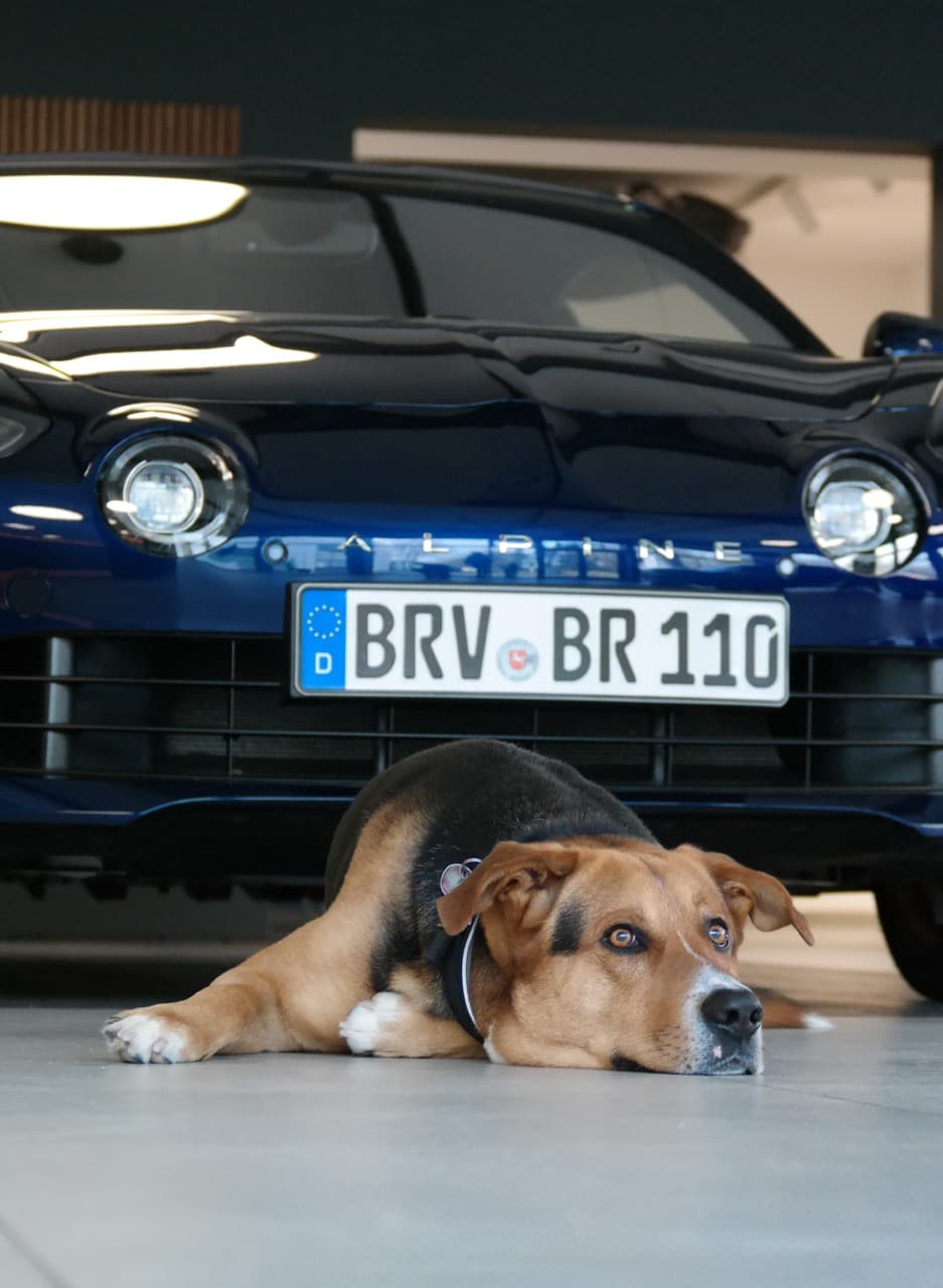 Autohaus Brunkhorst: Carlo